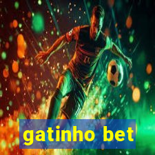 gatinho bet